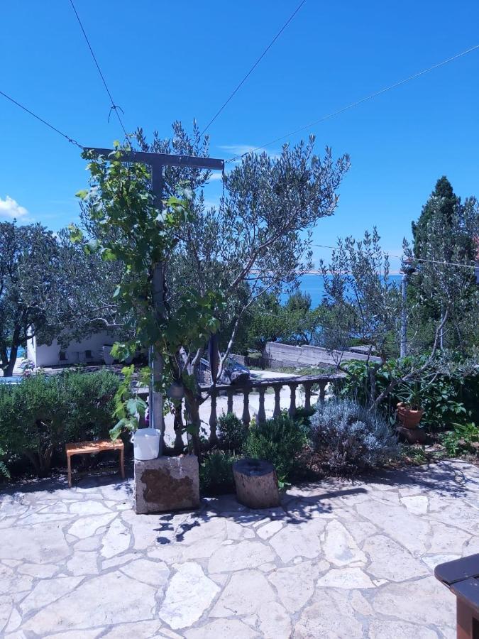 Apartments & Rooms Neno Tribanj-Kruscica Dış mekan fotoğraf