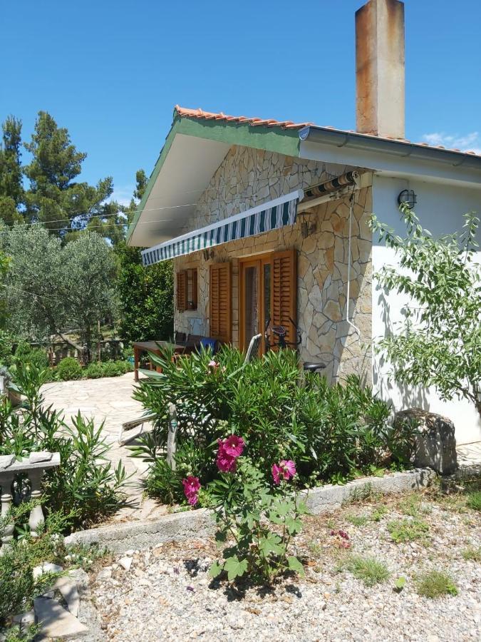 Apartments & Rooms Neno Tribanj-Kruscica Dış mekan fotoğraf